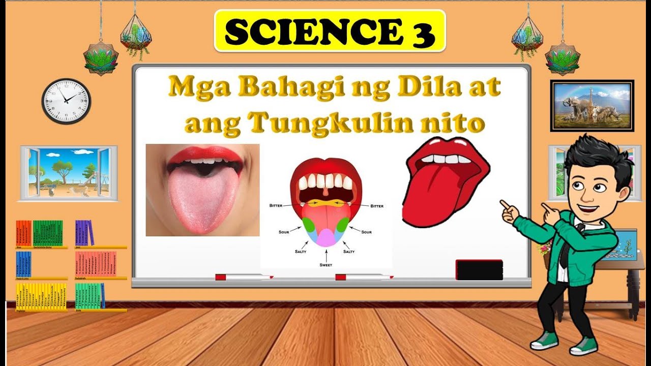 DILA / TONGUE - SCIENCE 3 - QUARTER 2 -