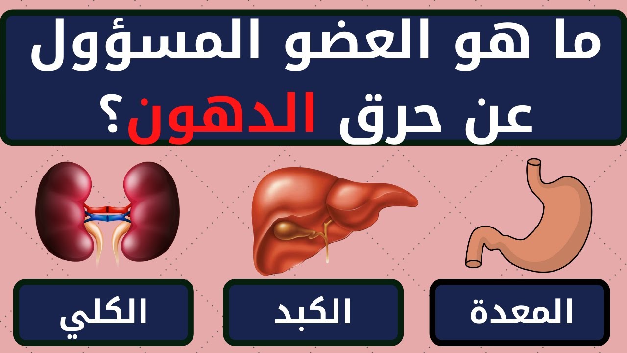 10 اسئلة ثقافية عن جسم الانسان للازكياء فقط / الغاز للاذكياء #معلومات