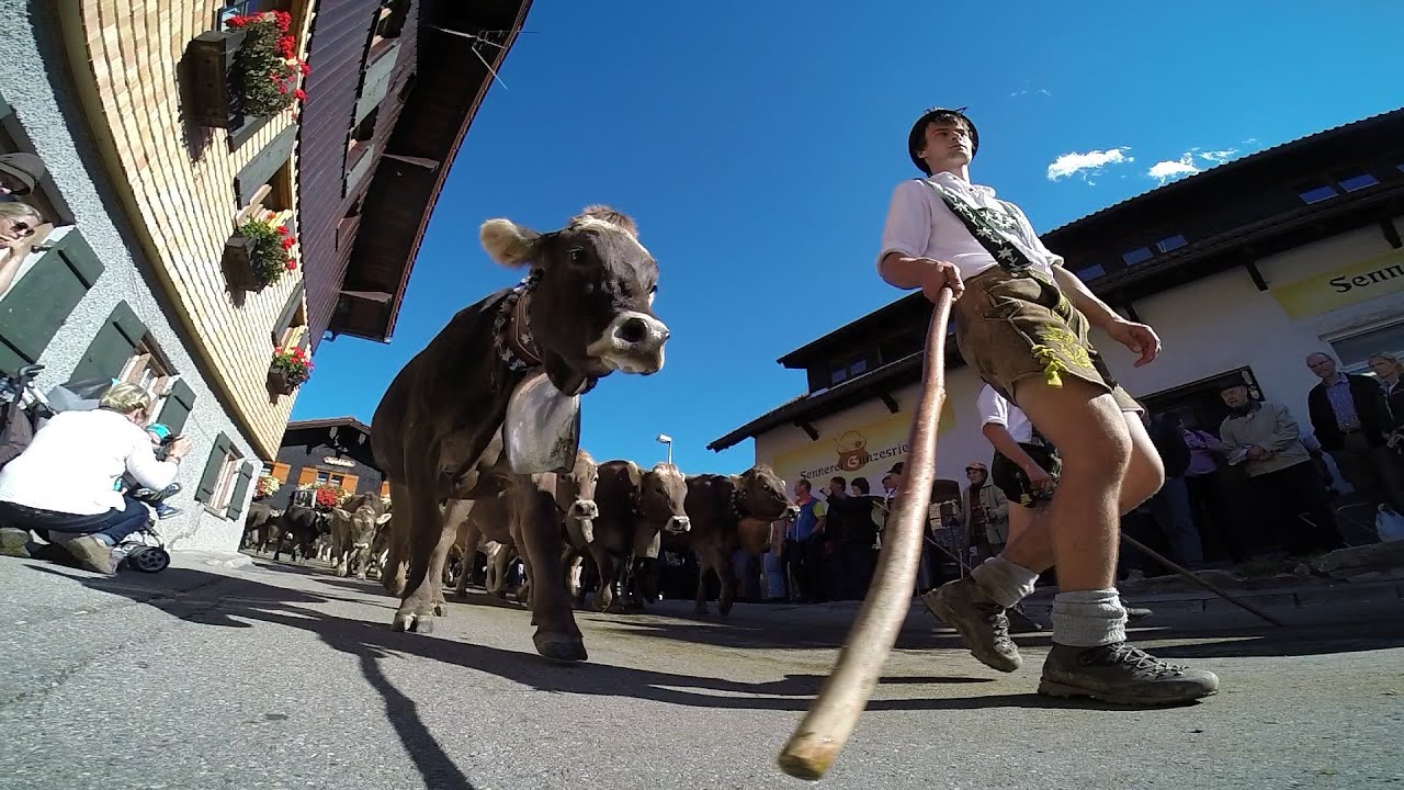 Viehscheid Gunzesried Blaichach Almabtrieb Allg&auml;u 2015 Youtube