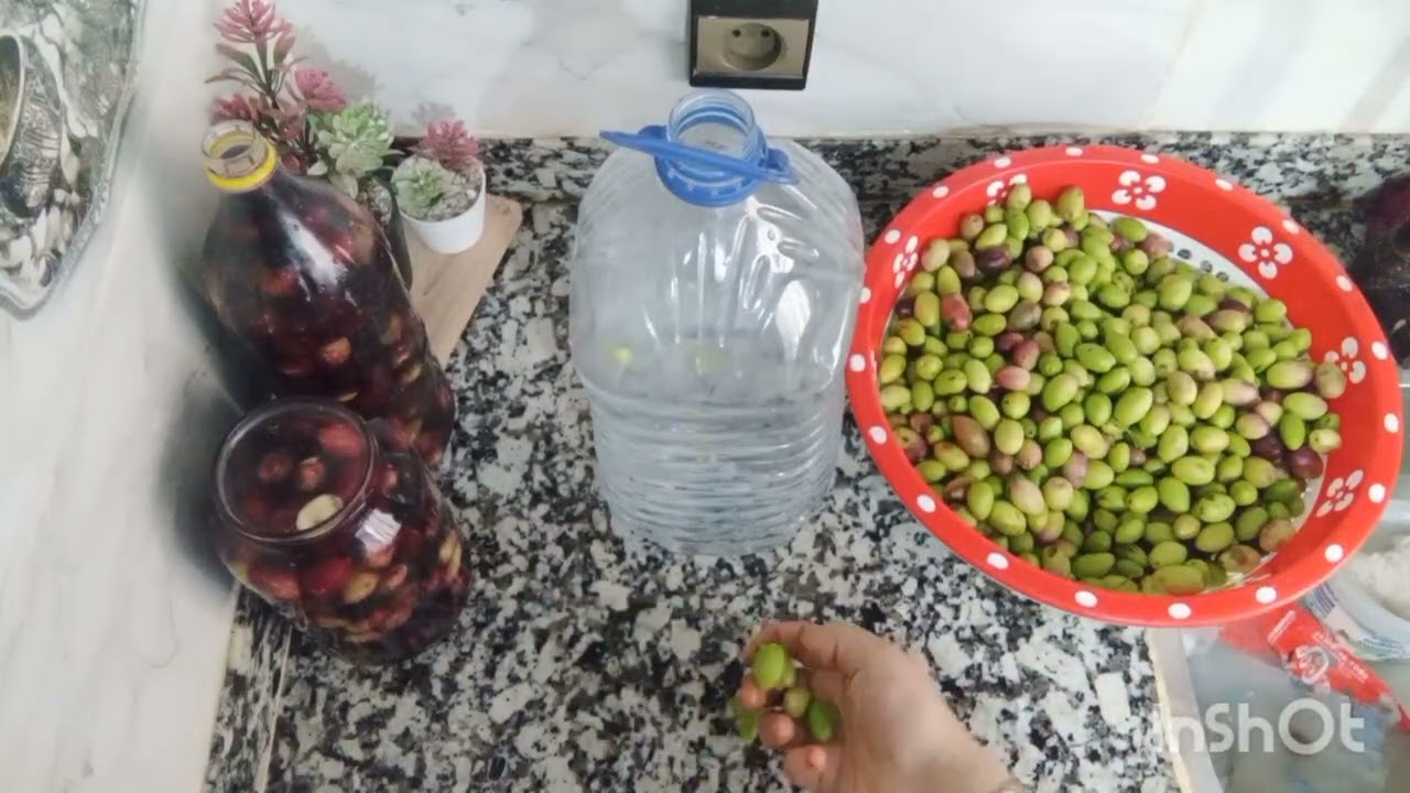 جبت ليك طريقة ترقاد الزيتون 💯 في100 ناجحة ،😋😋كيجي رائع 👍👍#سندويش # المغرب # food 