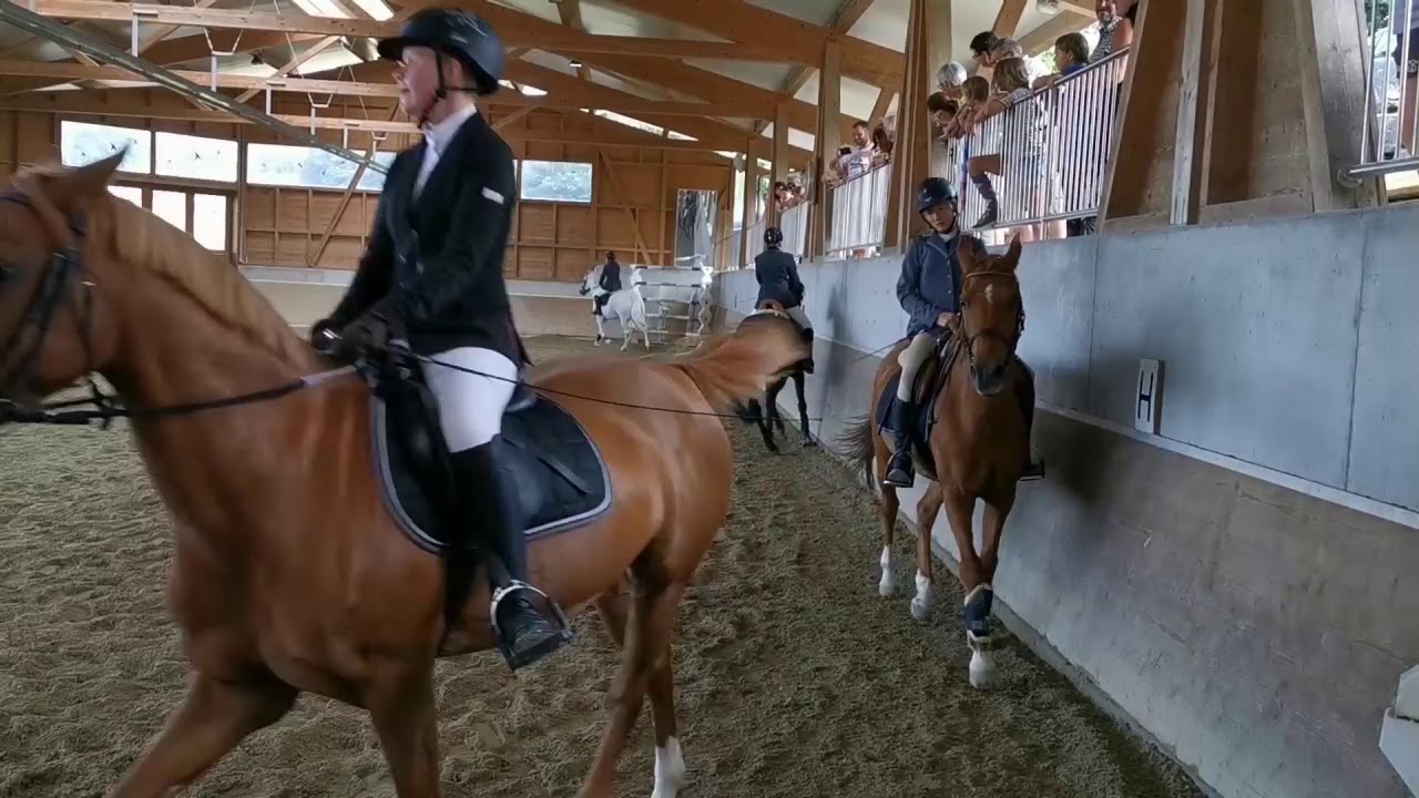 2019 Quadrille Ostwind Dressur 1920