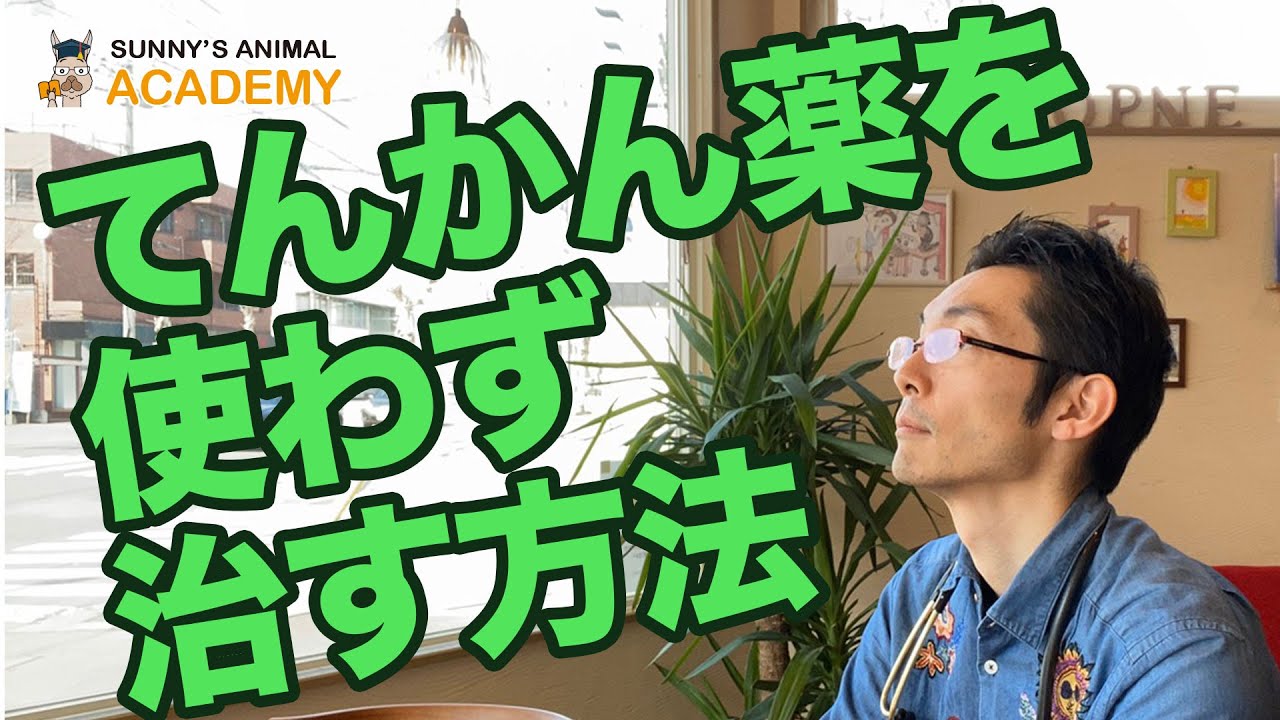 てんかん薬を使わずに治す方法（サニーズアニマルクリニック）
