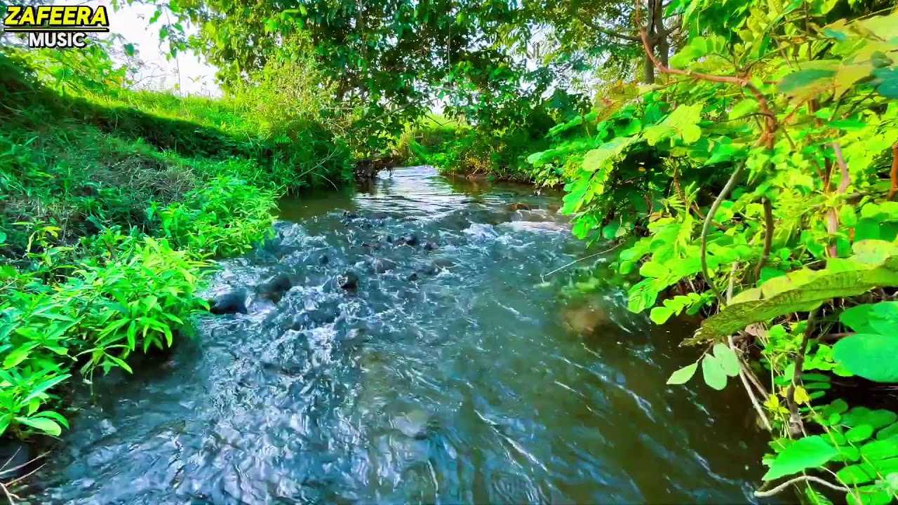 🛑 Relaxing River Flow  | Gentle Nature Sounds ASMR for Sleep & Meditation | 3 Hours