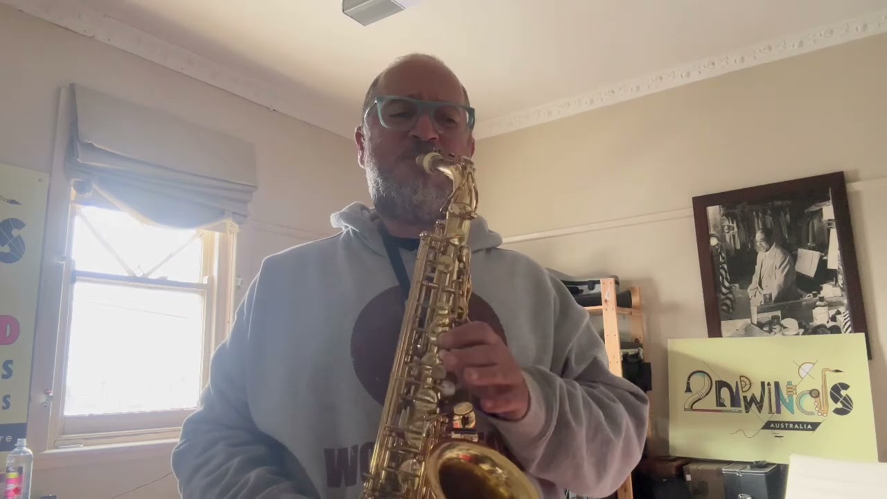 Brilhart L6 Personaline Alto Saxophone Mouthpiece DEMO 2nd Winds Australia