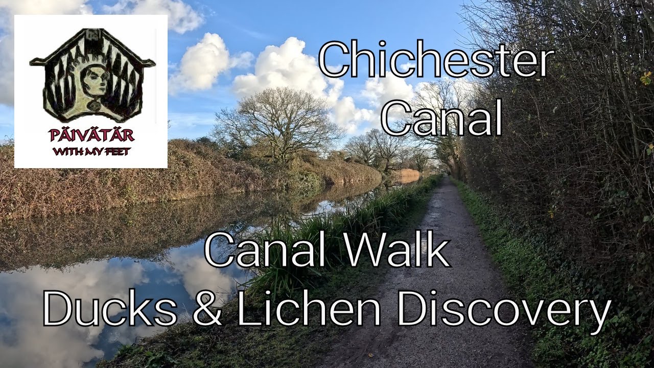 DUCKS & LICEN DISCOVERY -CHICHESTER CANAL WALK -  #ducks #lichen #naturewalk #canalwalk #sunshine