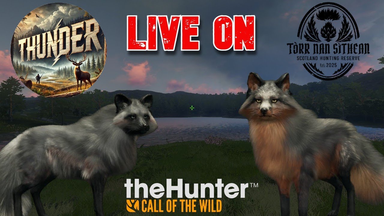 Retomando o Grind de Raposa na Escócia 1k Abates - The Hunter Call of the Wild