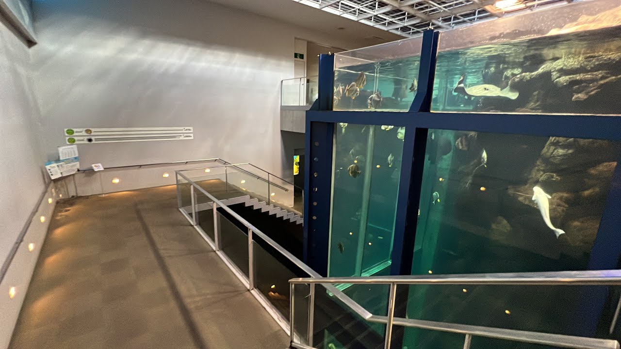 城崎マリンワールドのほぼ全貌歩いてみた！