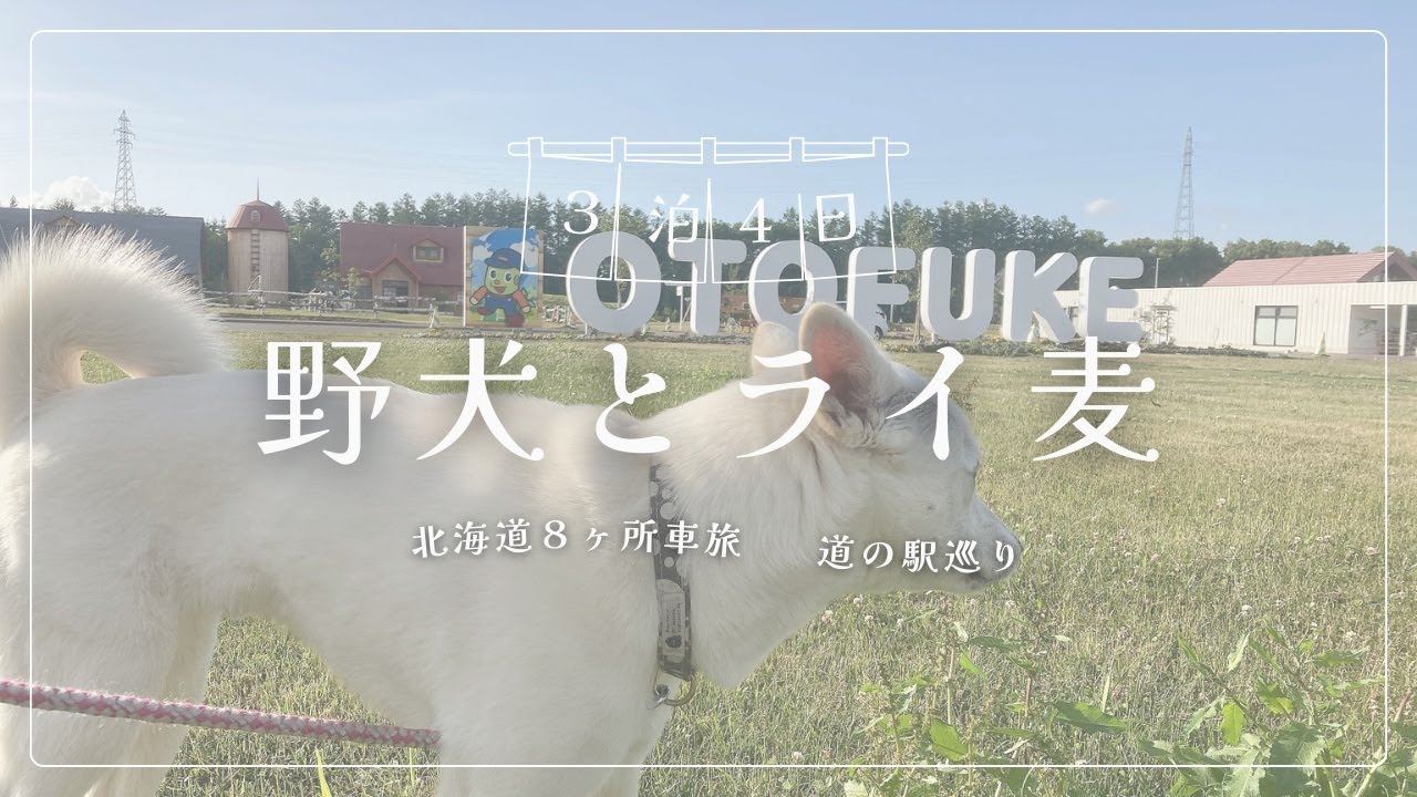 北海道３泊4日犬と車旅８ヶ所巡り〜日本海から十勝へ！