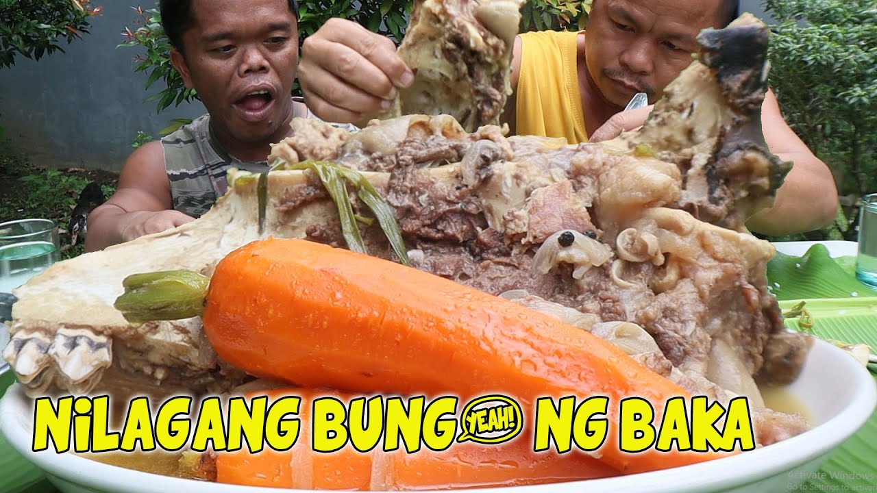 NILAGANG BUNG0 NG BAKA