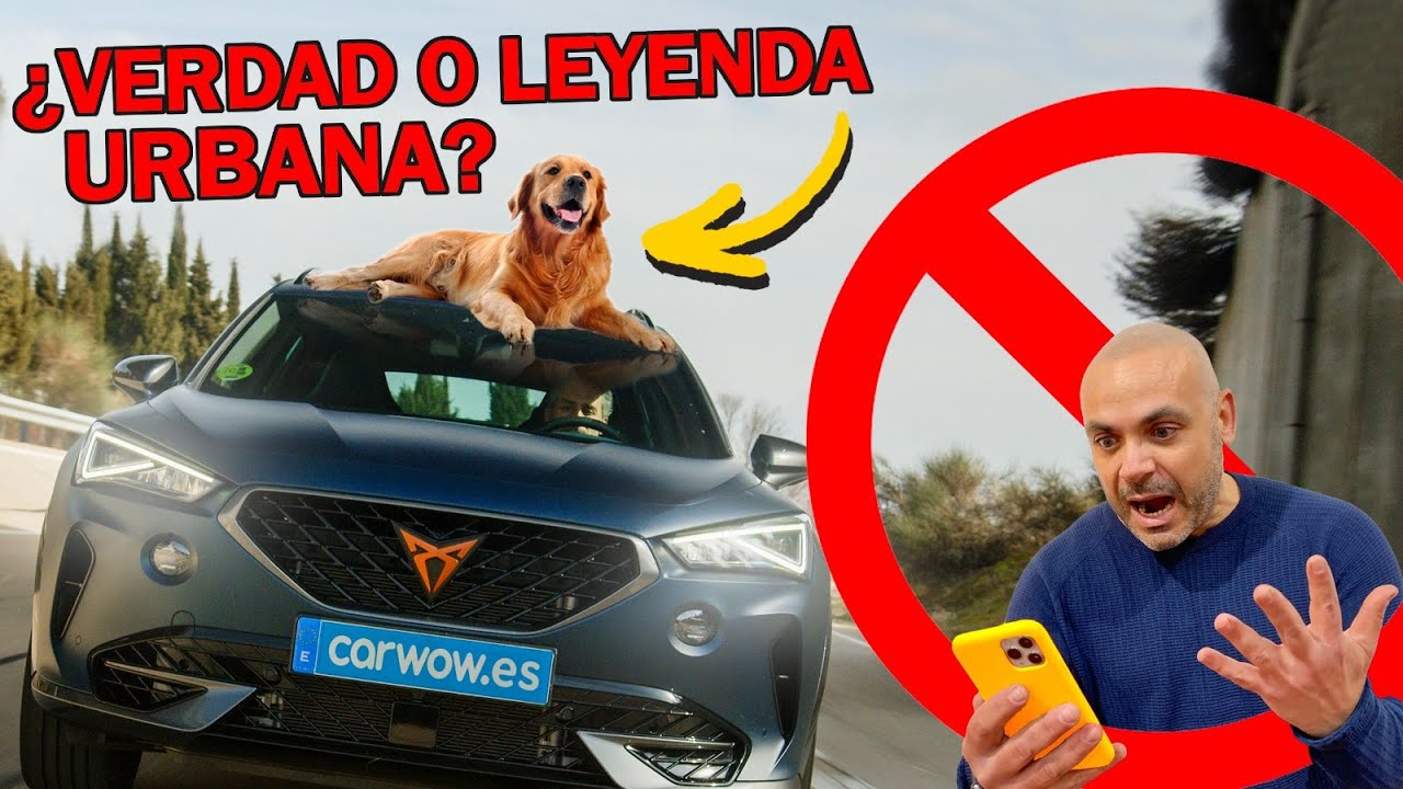RANKING: LAS 15 NORMAS DE TR&Aacute;FICO M&Aacute;S ABSURDAS DEL MUNDO