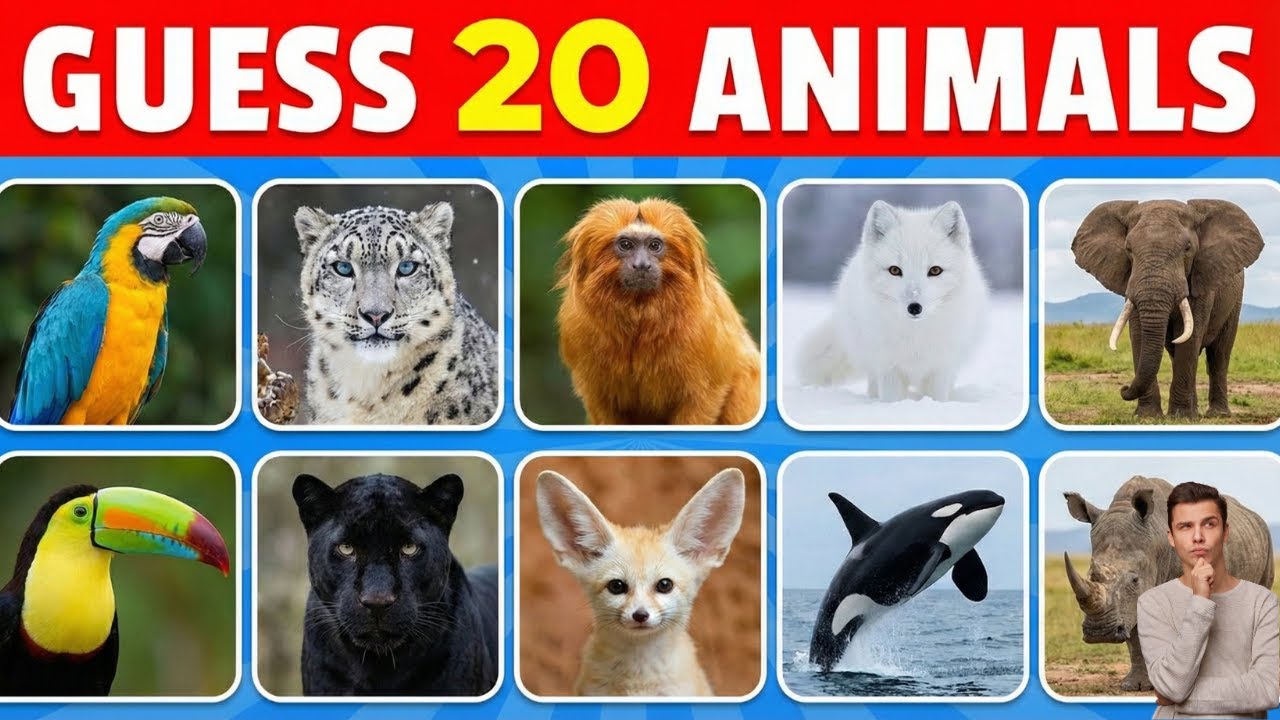 Only 1% Can Guess All 20 Animals 🧠🐶 | Easy to Extreme Challenge