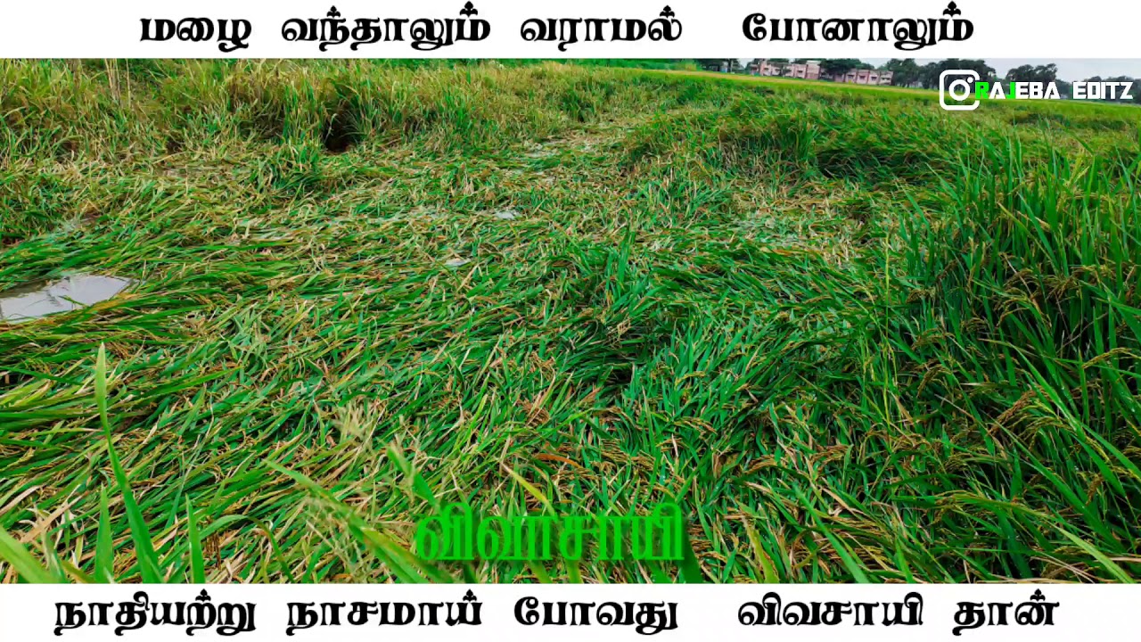 Save former 😭😭 whatsapp status video 2021 vivashayam