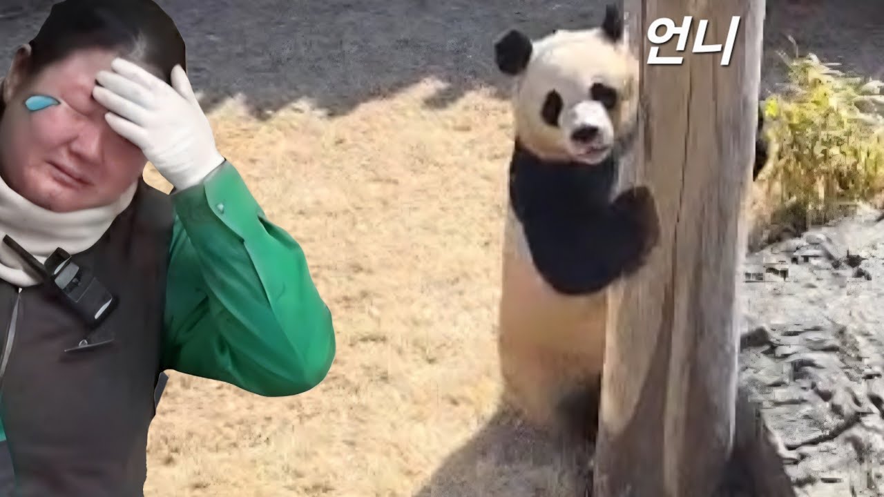 세컨하우스 3월18일 언니를 찾는거 같은 후이