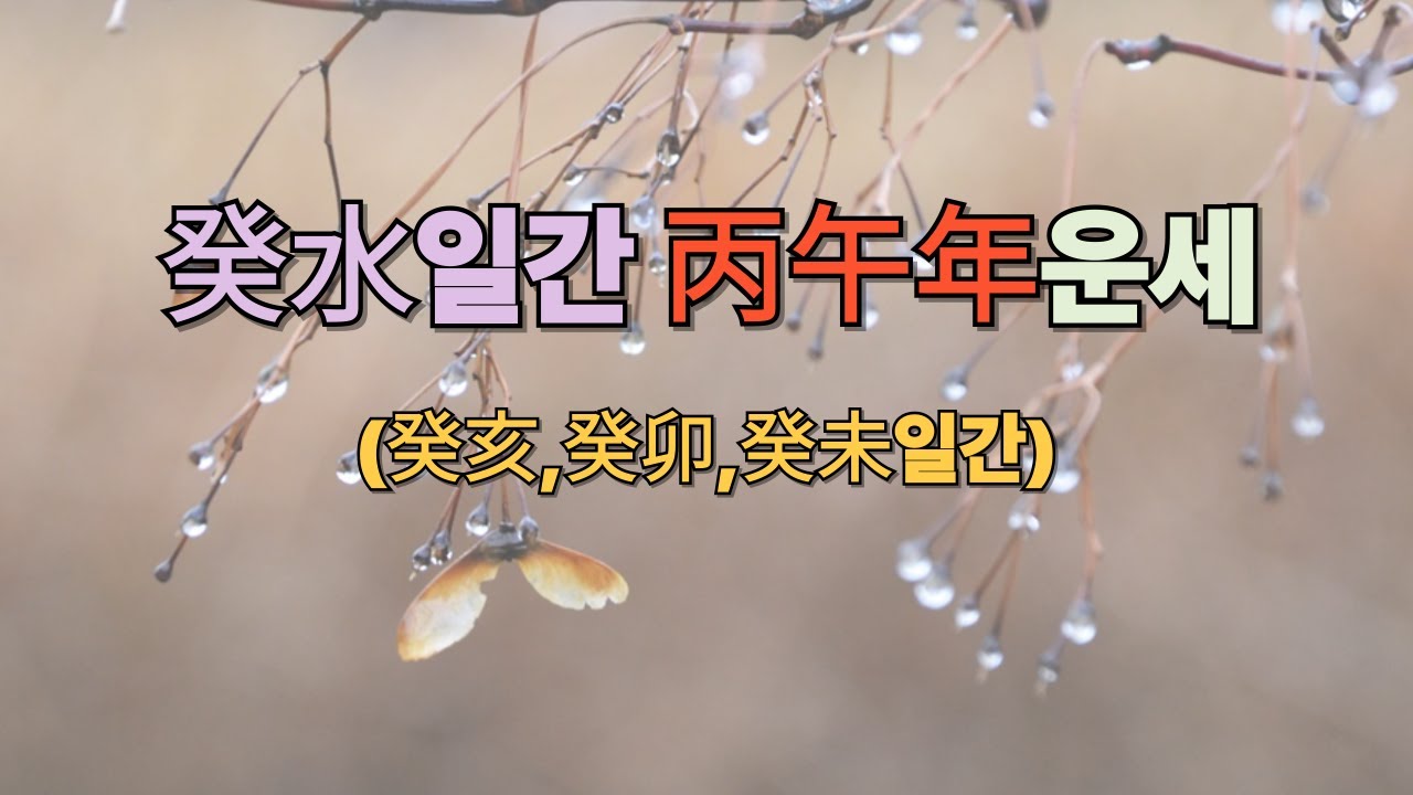 2026년 丙午年 癸水일간 신년운세 (癸亥,癸卯,癸未) [상담및 교육문의 : 010-4983-7972]