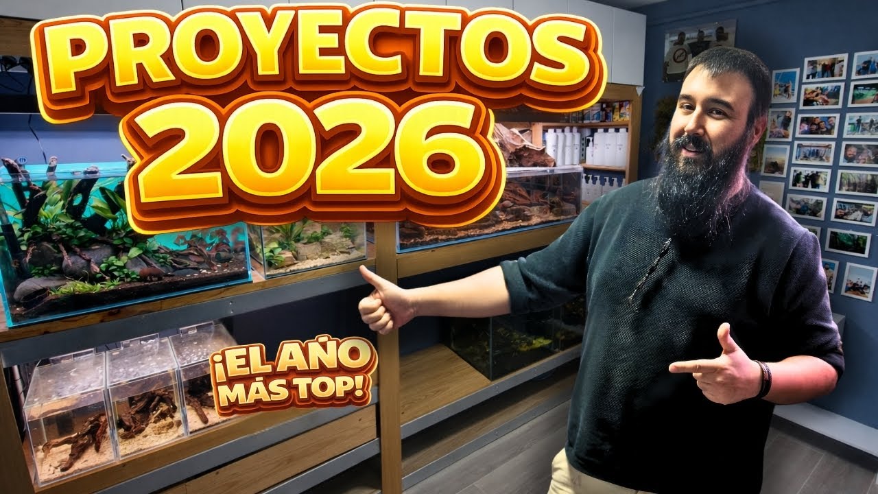 THESE ARE THE PROJECTS THAT WILL CHANGE AQUARIUM BLOG IN 2026