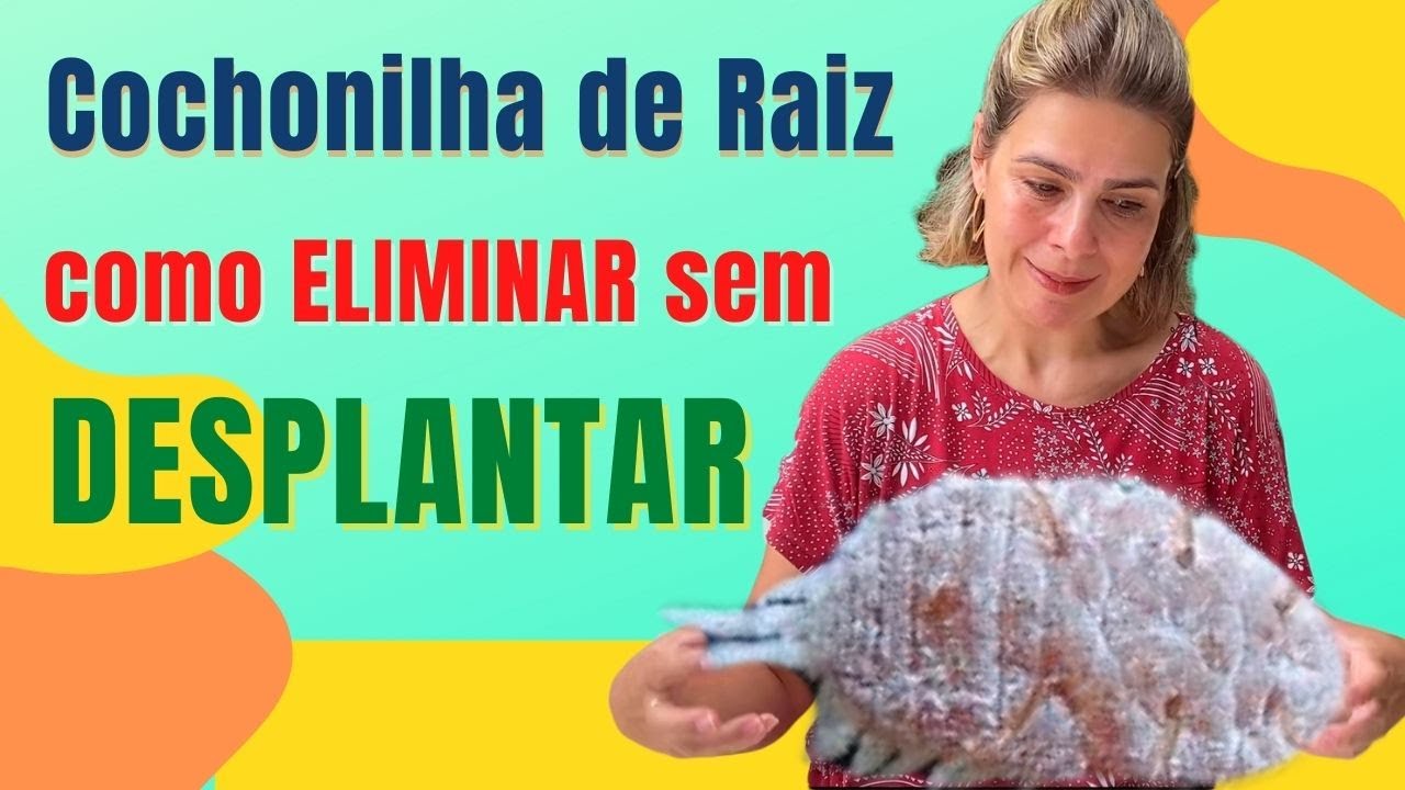 ELIMINE as Cochonilhas de Raiz SEM TROCAR o substrato de forma ECONOMICA/Grazi Bittencourt