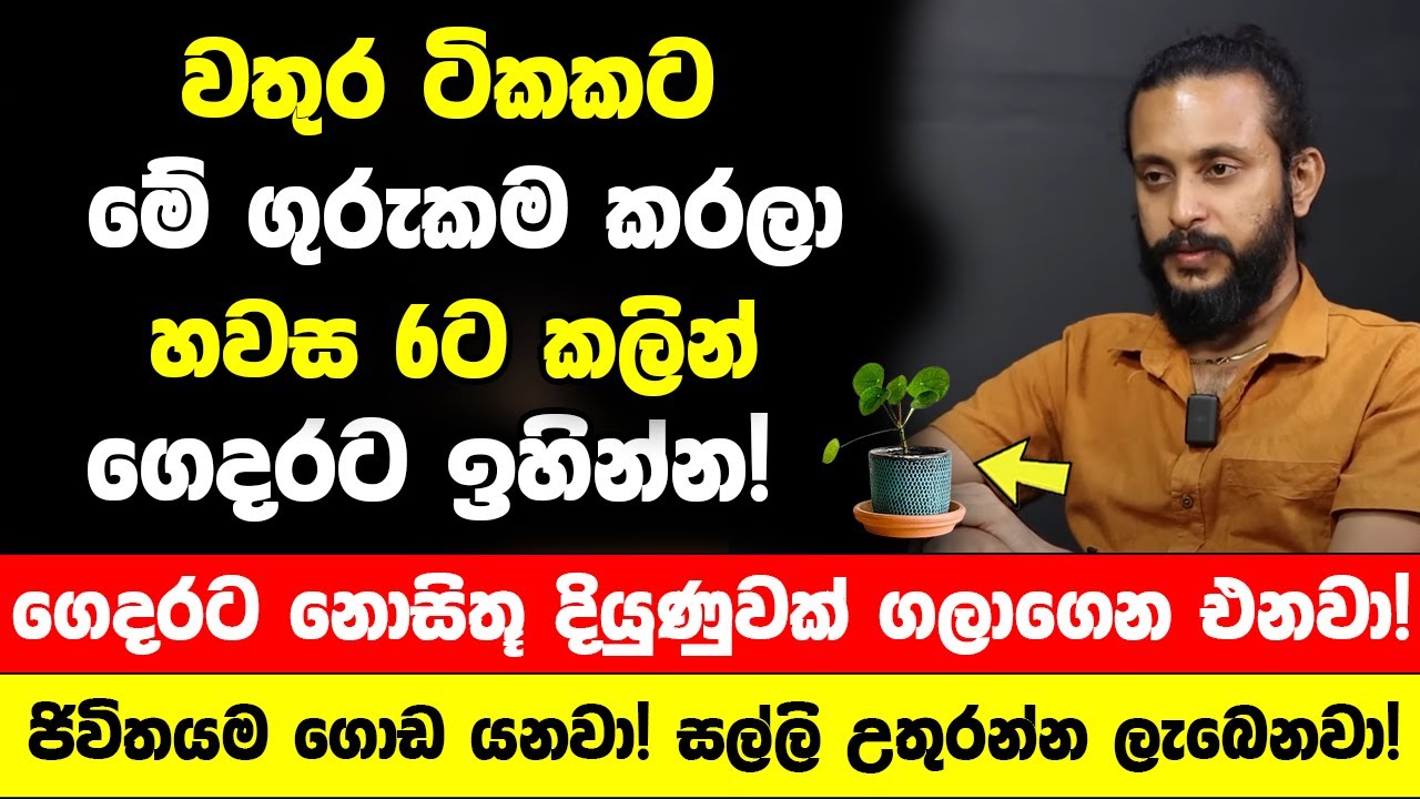 වතුර ටිකකට මේ ගුරුකම කරලා හවස 6ට කලින් ගෙදරට ඉහින්න! - ගෙදරට නොසිතූ දියුණුවක් ගලාගෙන එනවා!
