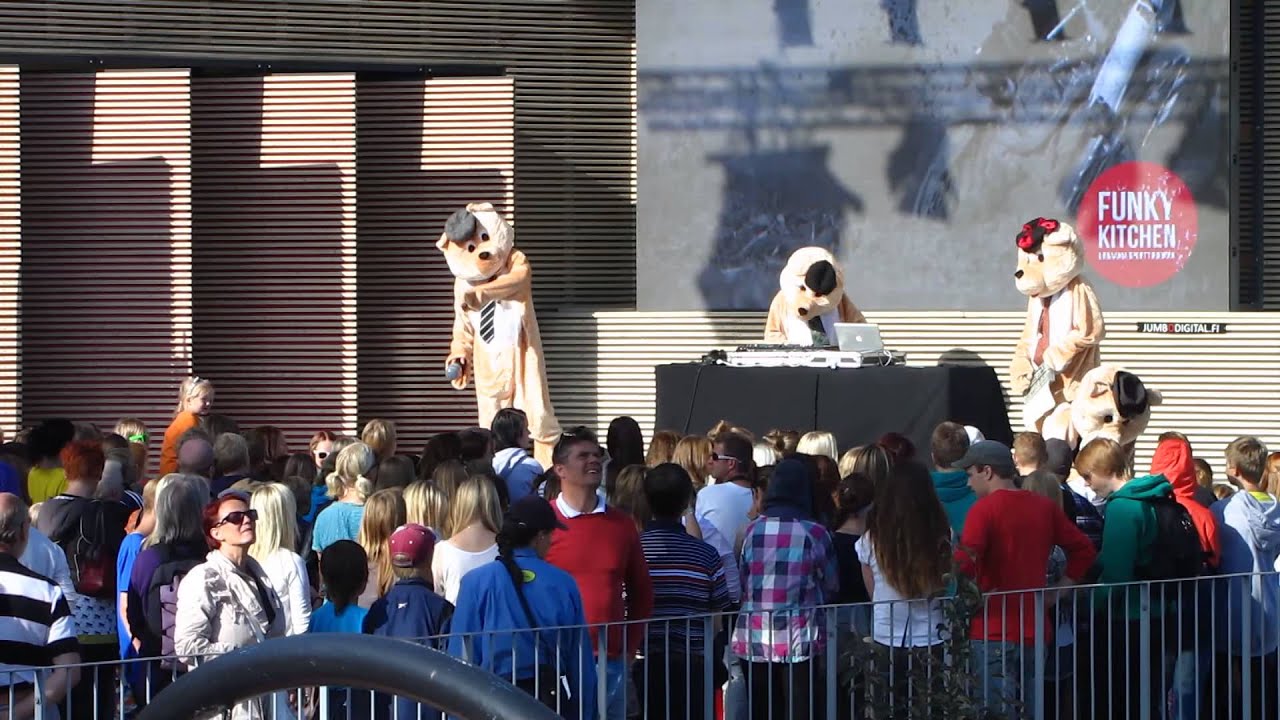 Nallet - OMK (lintsill&auml; 2012)