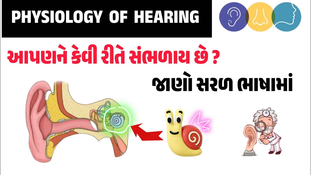 PHYSIOLOGY OF HEARING | ENT SYSTEM PART- 2 |જાણો આપણને કેવી રીતે સંભળાય છે ? |