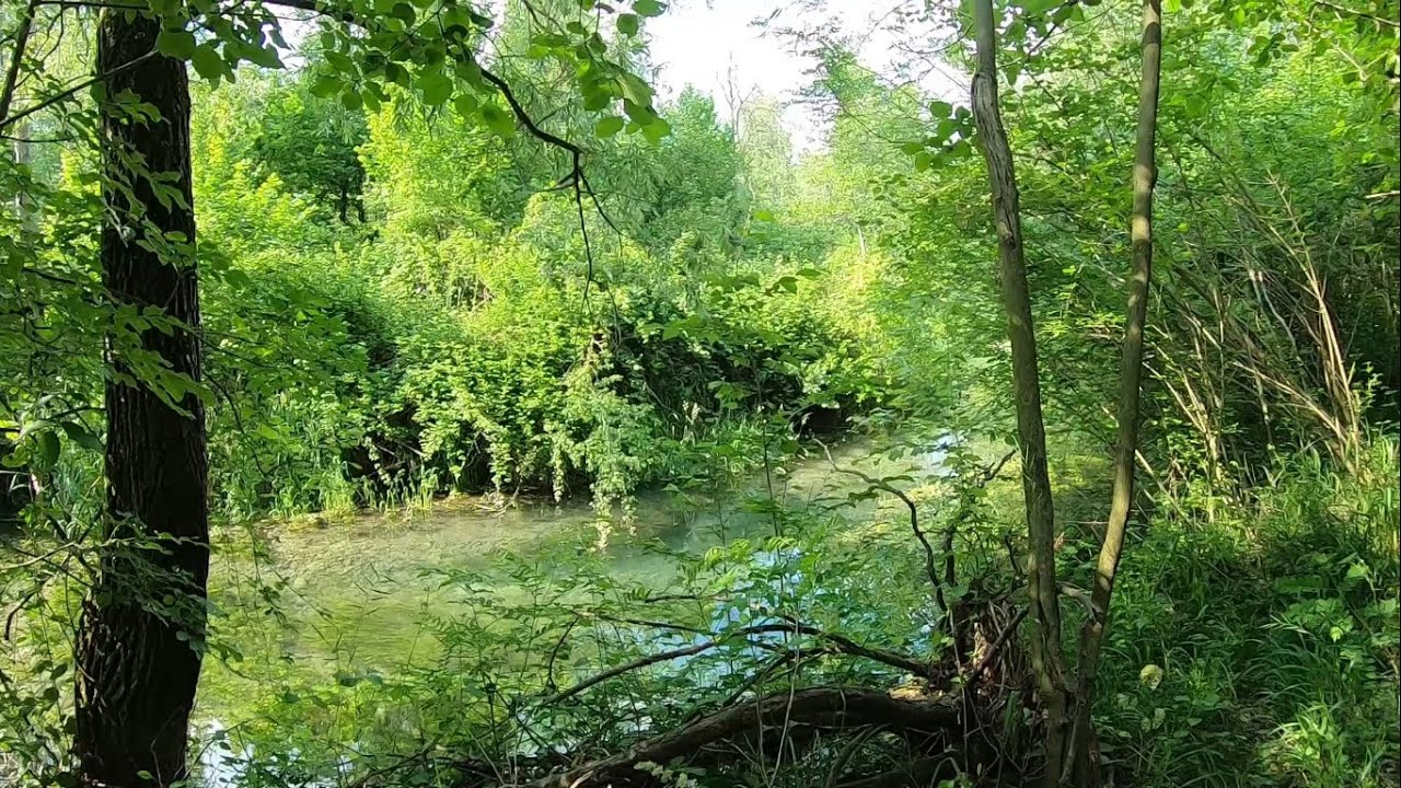 Parco del Piave 