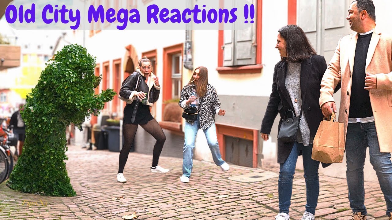 Bushman Prank in Heidelberg, Germany Mega Reactions You Never Want to Miss