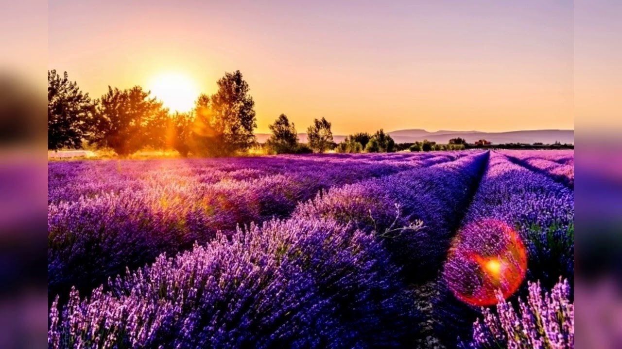 Craignez L'Injustice Et Ses Conséquences - Ibrahim Abou Talha