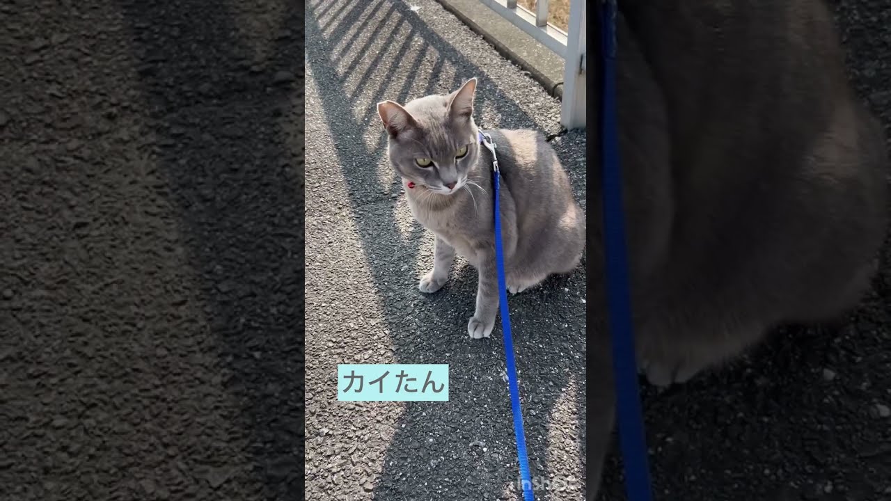ばあばとお散歩したよ