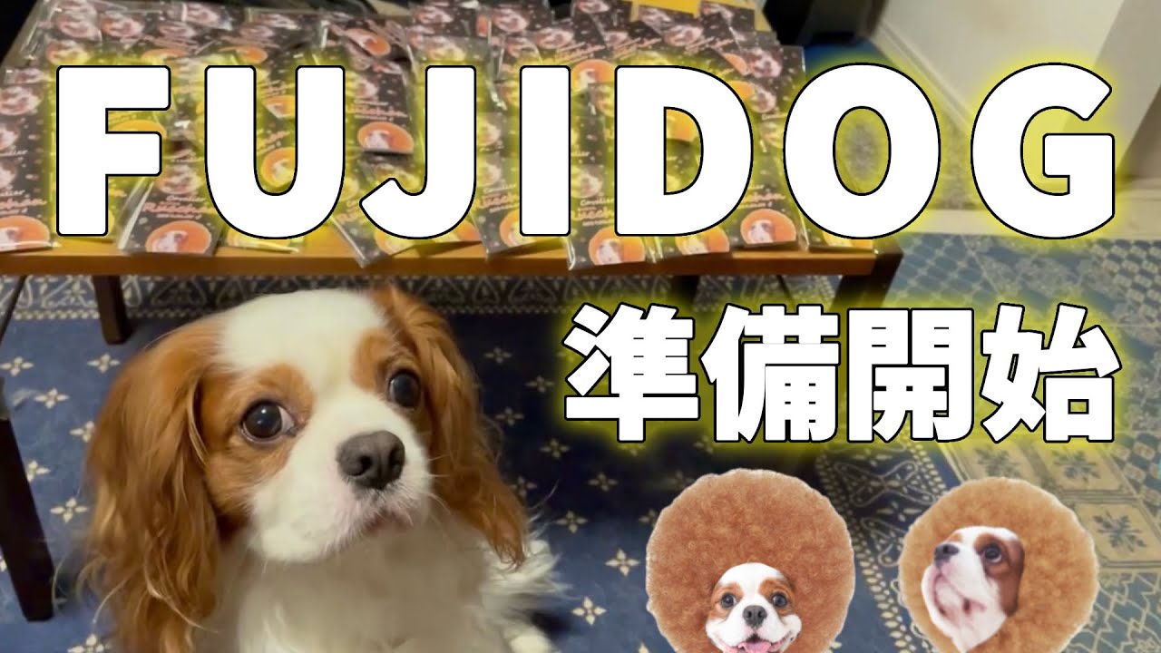 キャバリア最大級のイベント【FUJIDOG／フジドッグ】に向けて準備開始‼︎