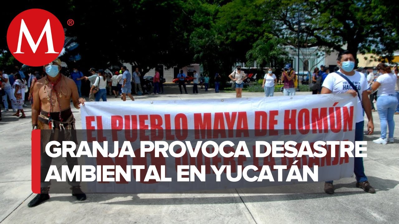 Manifestantes protestan contra granja que ha contaminado el agua en Mérida