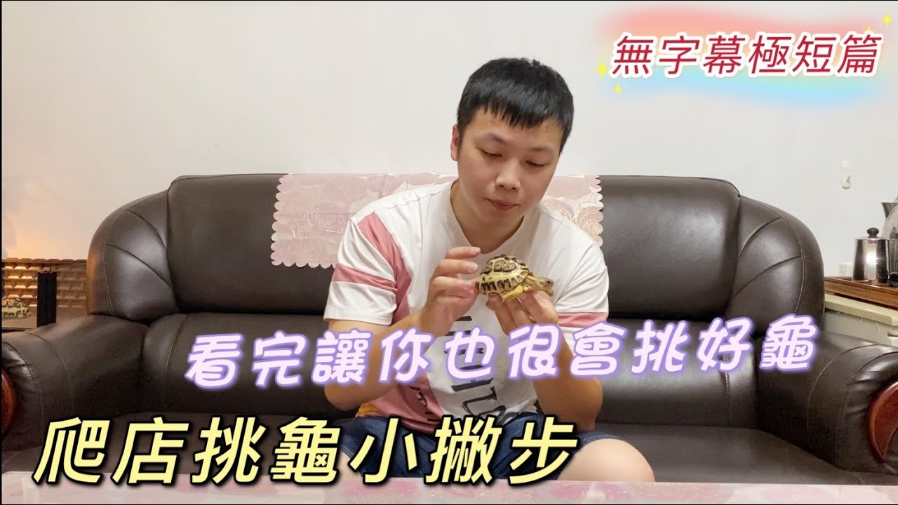 爬店挑龜小撇步!!我去爬店該怎麼選好健康的龜呢?