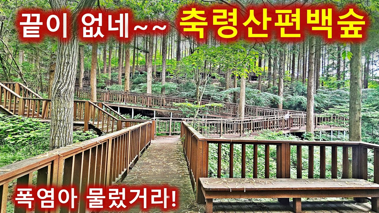 폭염주의보에 갈만한 숲캉스-전남 장성 축령산 편백나무숲길 산행/추암주차장/향로봉/여름등산