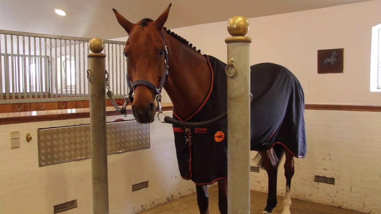 Bot-Shop.dk - Horseware Rambo Ionic Stalddækken