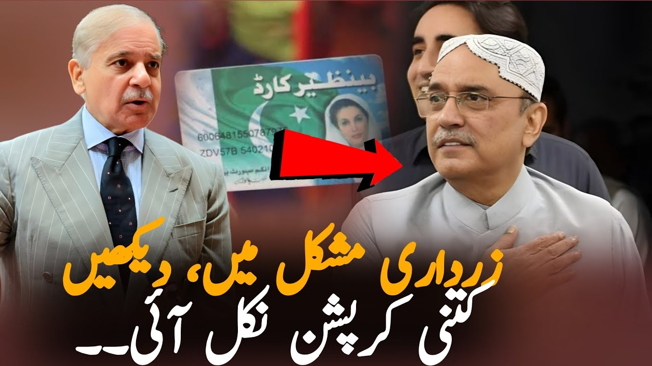 Asif Ali Zardari In Trouble | BISP Audit Uncovers Payments to Government Employees