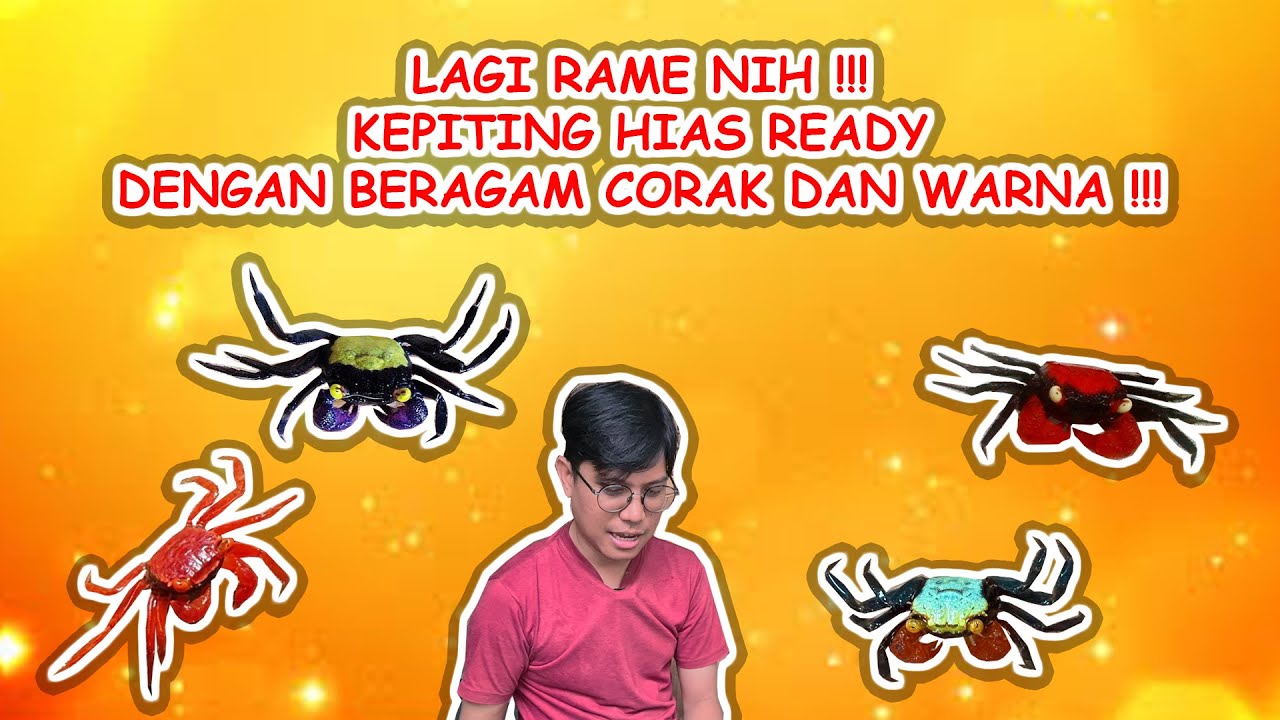 MASUK JENIS KEPITING HIAS BARU DI KAMIMASAI AQUATIC GALLERY !! JENIS DAN WARNA NYA MAKIN BERAGAM !!!