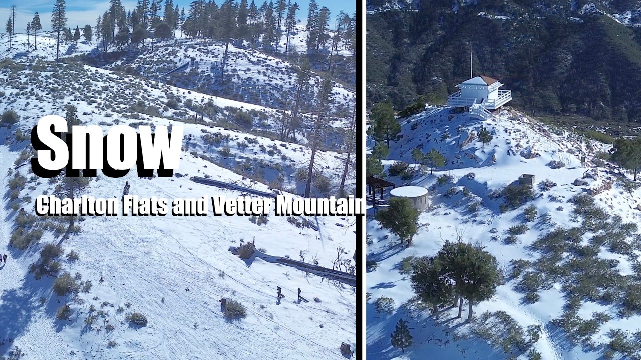 Charlton Flats & Vetter Mountain Snow Conditions (Feb 21, 2026) | ANF