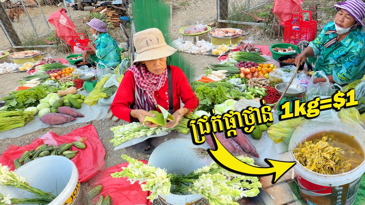 Village market children in Cambodia / សកម្មភាពការលក់ដូរពេលព្រឹកកូនផ្សារស្រុកស្រែប្រទេសសកម្ពុជា