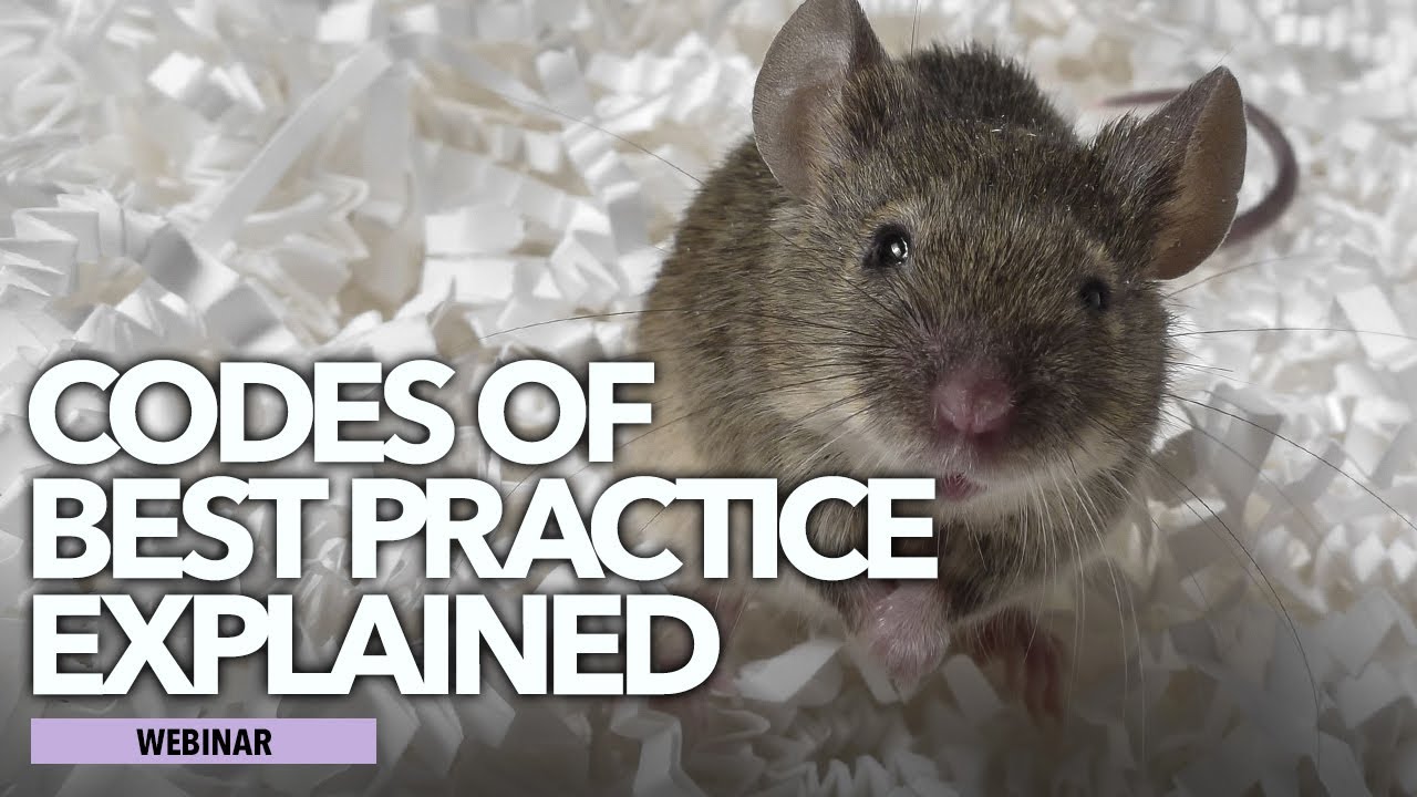 Pest Management Codes of Best Practice Explained