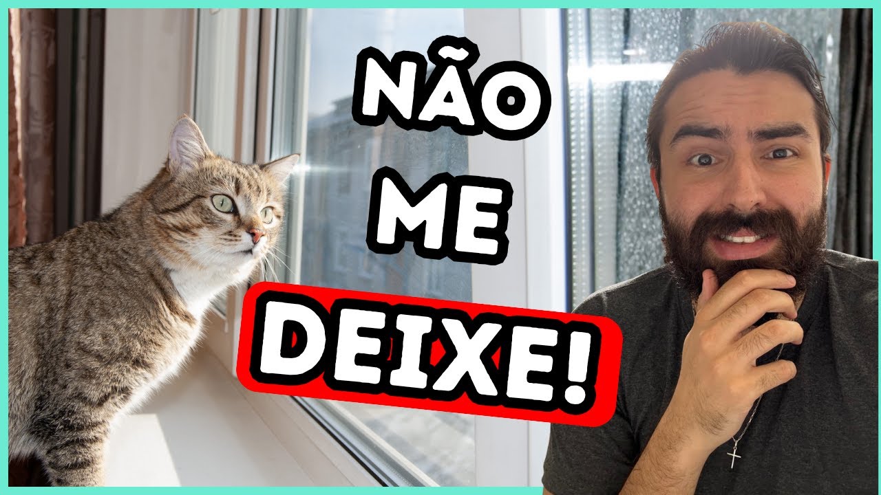 Se Você Deixa Seu Gato SOZINHO Em Casa, Jamais Faça ISSO!