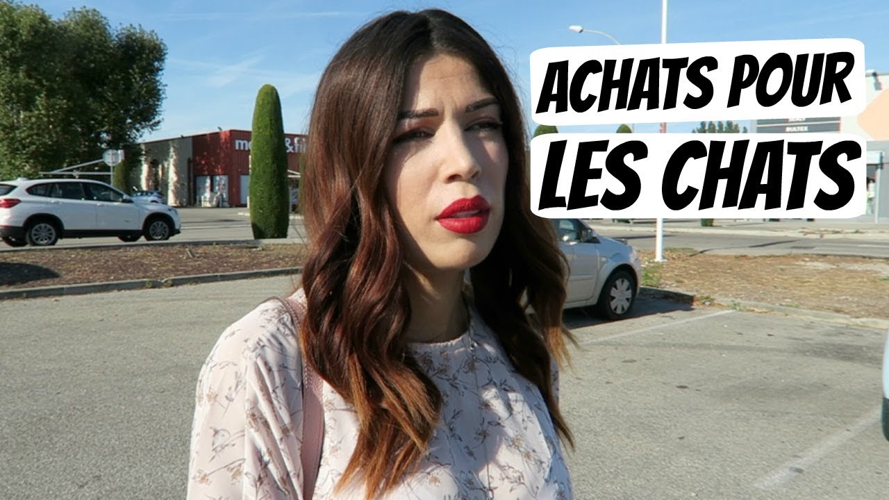 Achats Pour La Maison Et Les Chats !