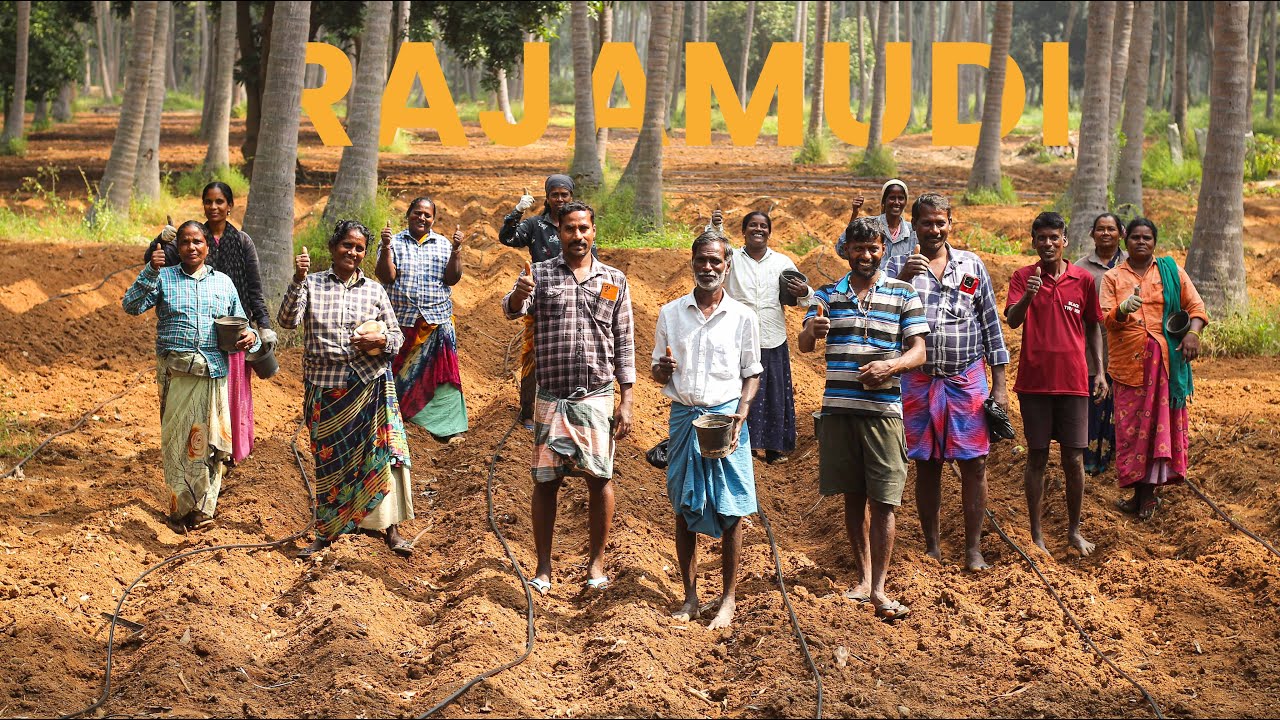 Story of Rajamudi | 100% Certified Organic Food | Heritage Grains, Spices & Superfoods #organic
