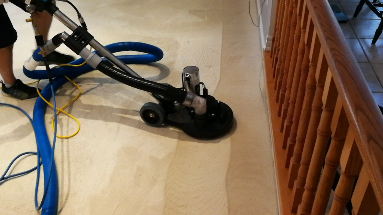 Carpet cleaning with Trex jr www.ecocarpetcleaning.ca