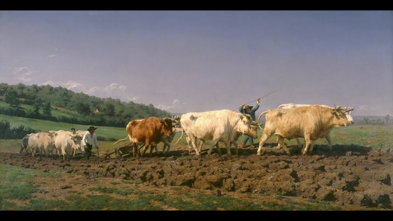Llegir obres d'art. Rosa Bonheur: Labourage nivernais (Llaurada nivernesa)