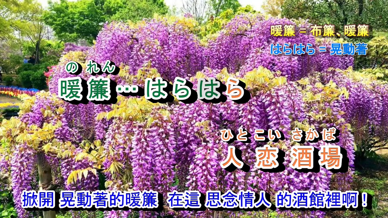 人戀酒場***字義版   音圓 45252