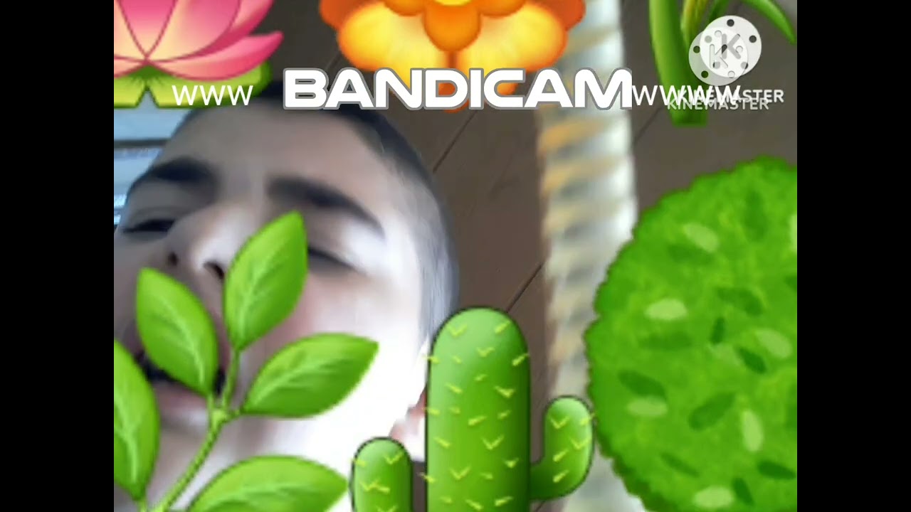 Christian Facetten hat sich die Frage 2007 real life in