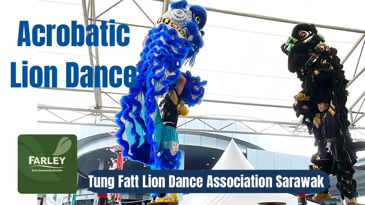 Acrobatic Lion Dance on High Pole | Farley Kuching | Tung Fatt 