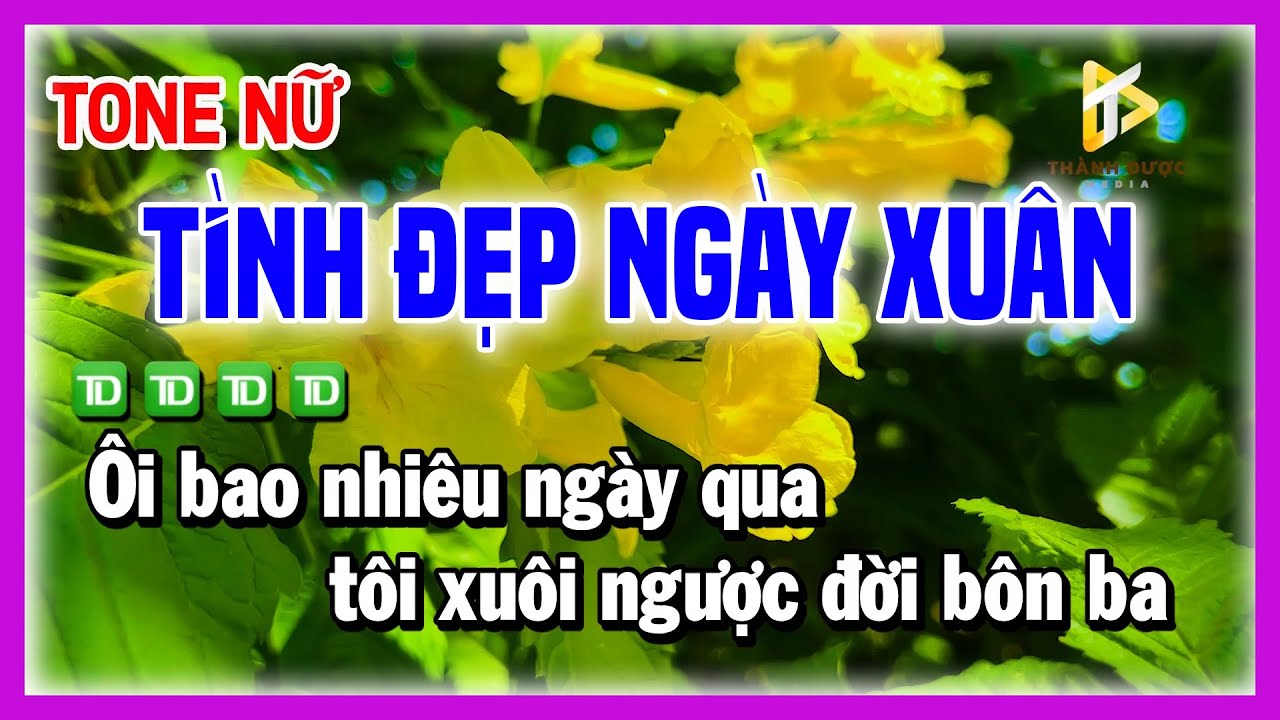 Karaoke TÌNH ĐẸP NGÀY XUÂN - Khi Xuân Đến Lòng Thêm Náo Nức - Nhạc Chế TONE NỮ