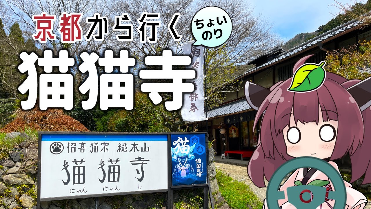 京都から行くちょい乗りドライブスポット #04「猫猫寺」