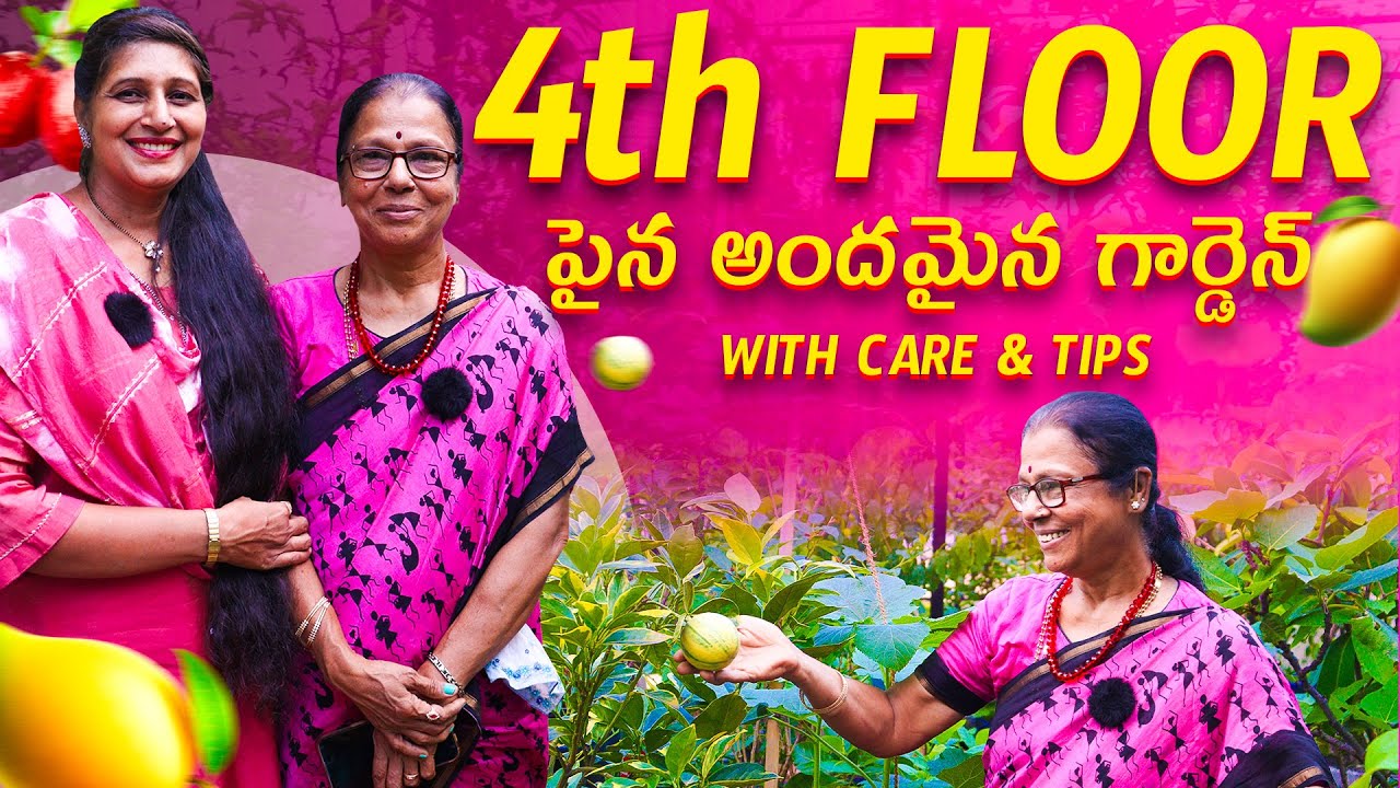 🏡 Stunning 4th FLOOR Garden with Care & Tips | Terrace Gardening Inspiration 🌿