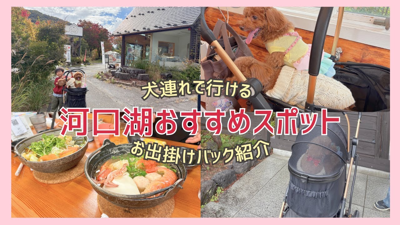 【犬連れVLOG】河口湖ほうとう＆ドッグラン！便利なおでかけバッグもレビュー（Sehr Gutシリーズ）