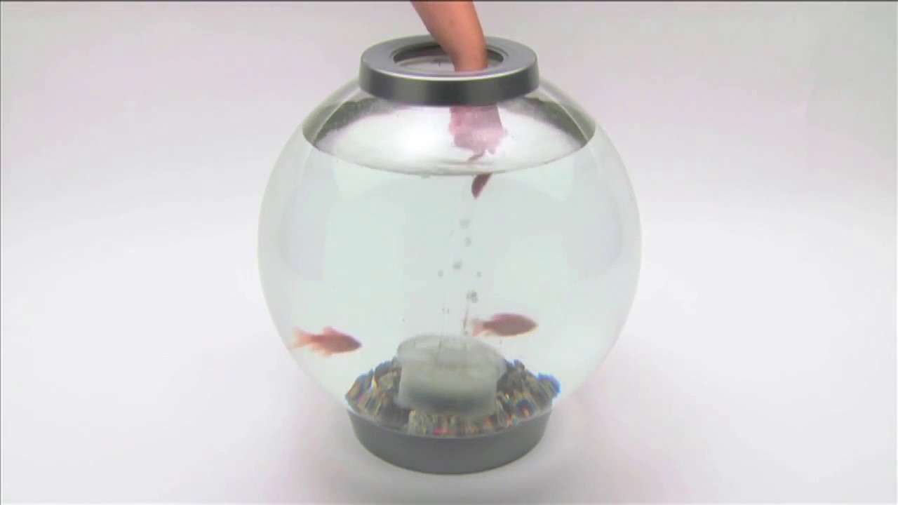 How to change a filter in biOrb Aquarium